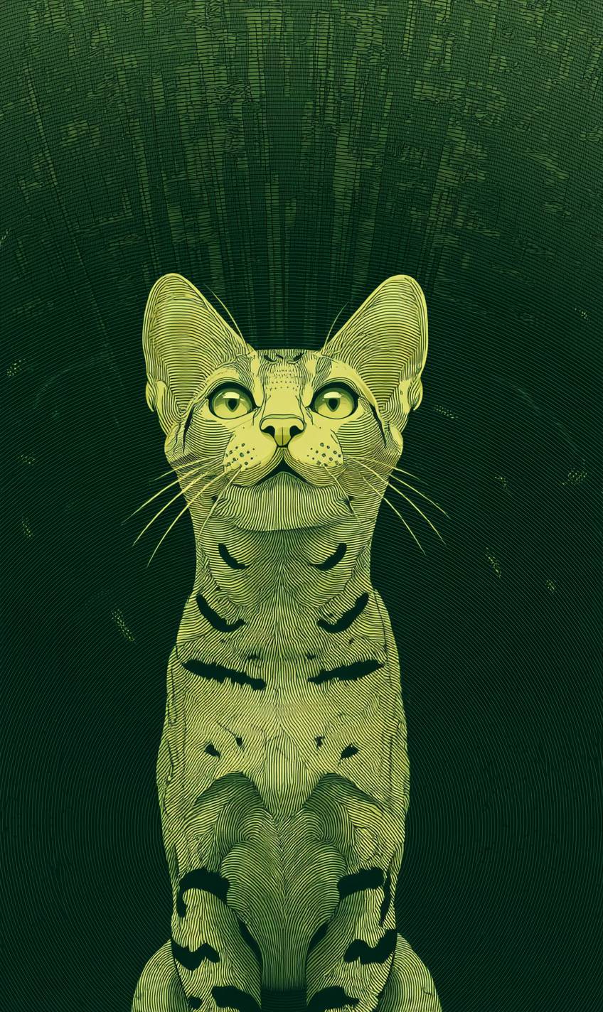 Ocicat猫很可爱