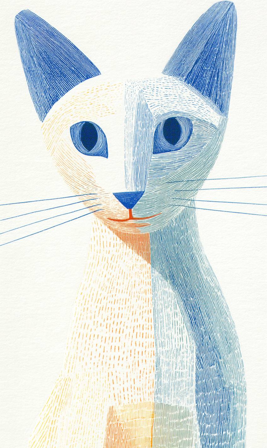 El gato oriental es lindo