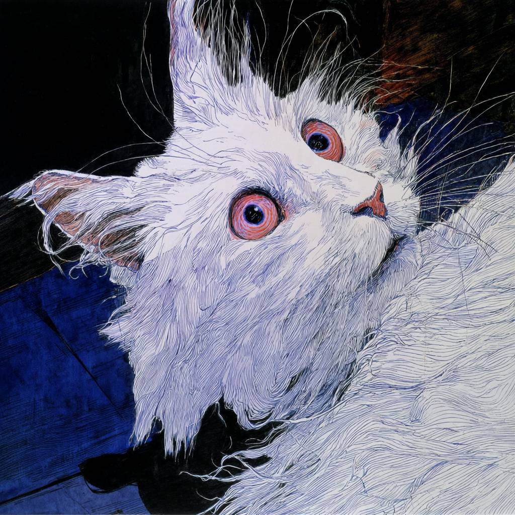 O gato Angora turco é fofo