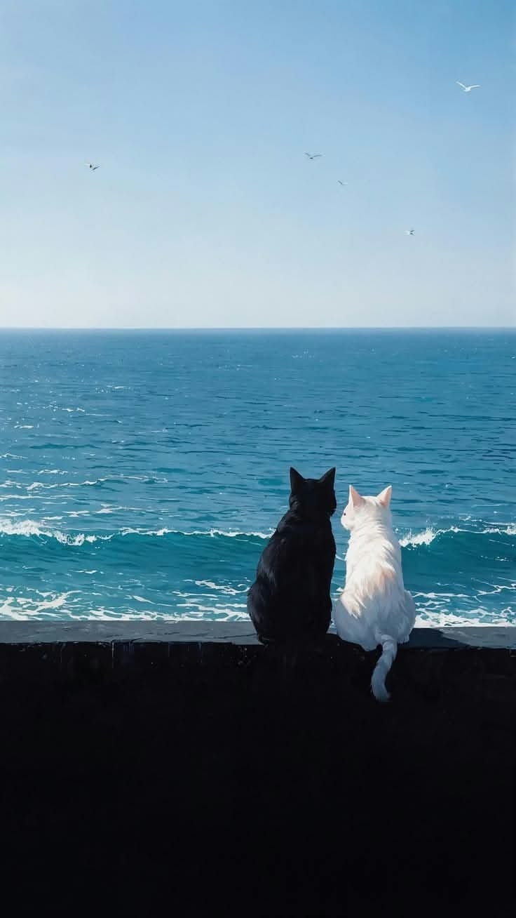 Duas gatas sentadas juntas à beira-mar